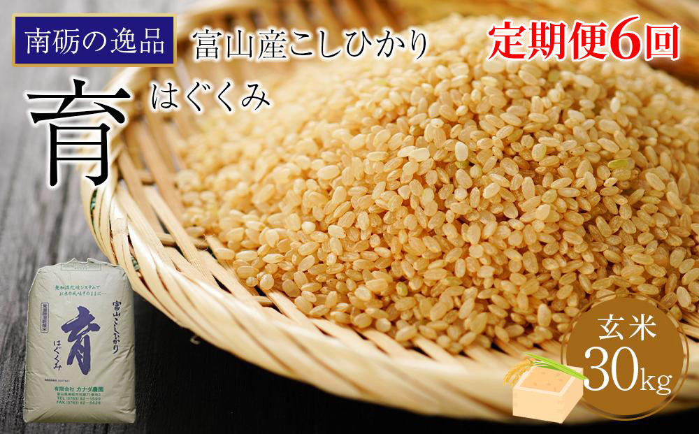 【令和7年産】定期便・隔月６回  富山県産こしひかり 育（はぐくみ）玄米３０kg《南砺の逸品》