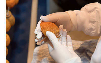 å¯å±±ãããœæ¿ 4L 6åå
¥ã ãåç ºã®éžåã