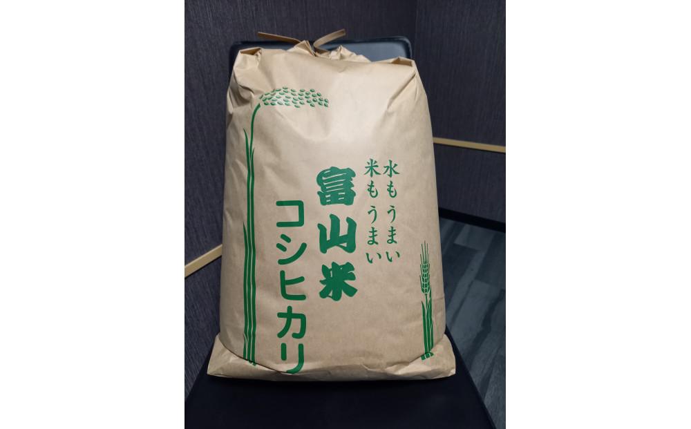 【令和6年産】みどりふぁーむのコシヒカリ 玄米 20kg