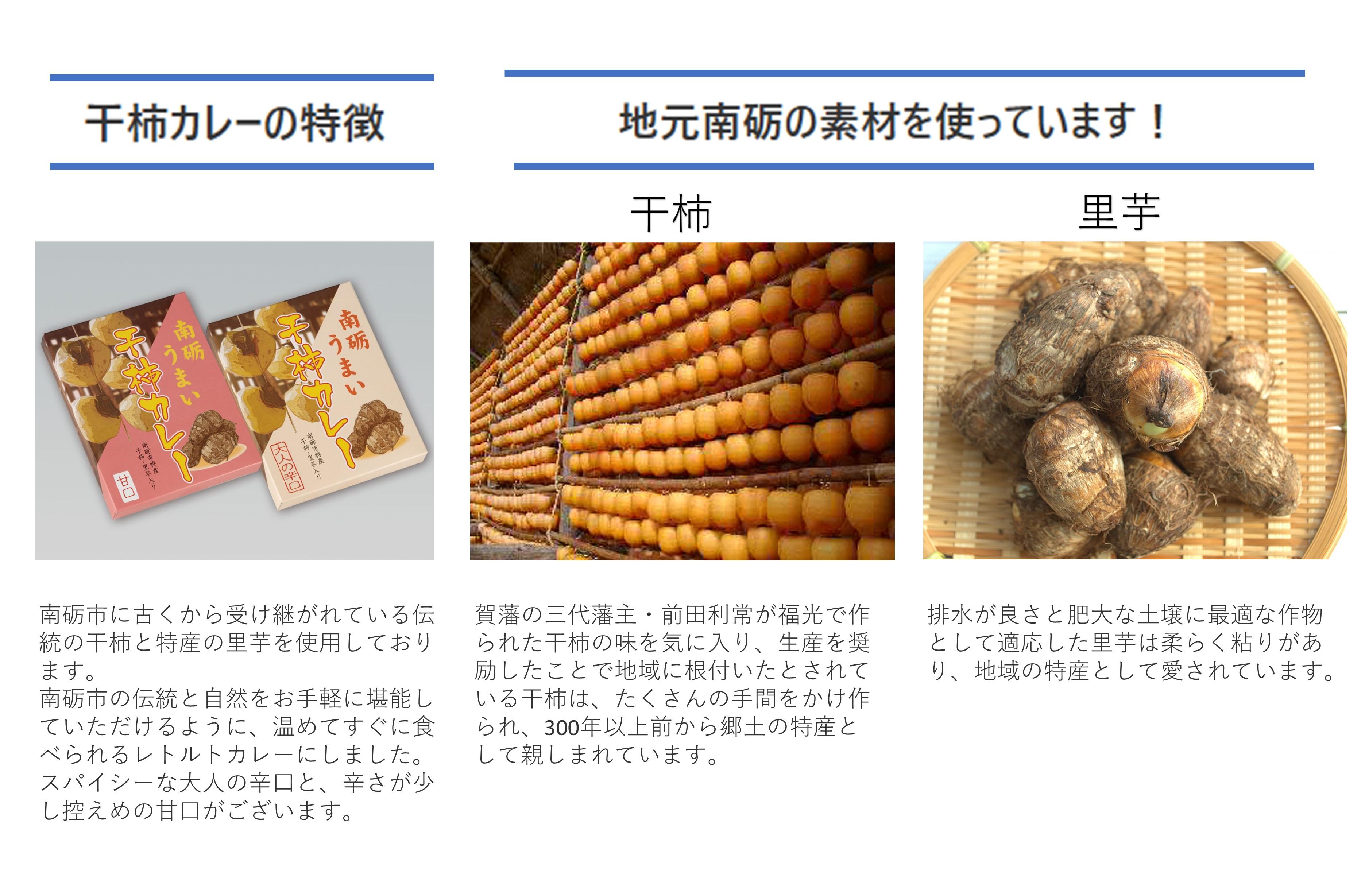 南砺うまい干し柿カレー(甘口)