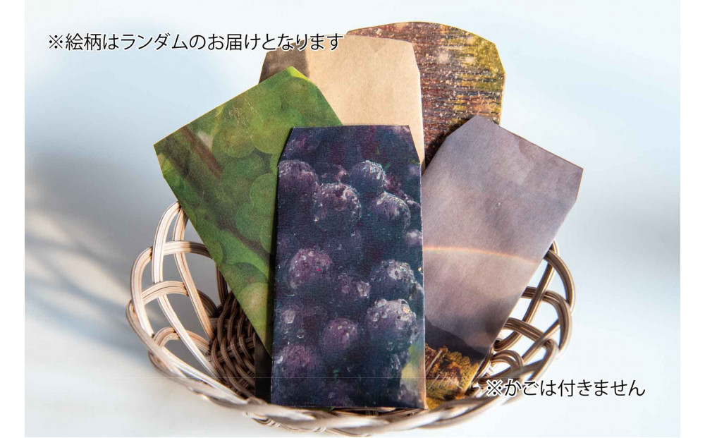 遶矩主次繝翫Φ繧オ繝ウ繝悶Ν 2024 繝ッ繧、繝翫Μ繝シ鬚ィ譎ッ繝昴メ陲5譫壹そ繝繝井サ倥″