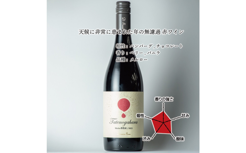 立野原メルロー樽熟成 2023 ワイナリー風景ポチ袋5枚セット付き