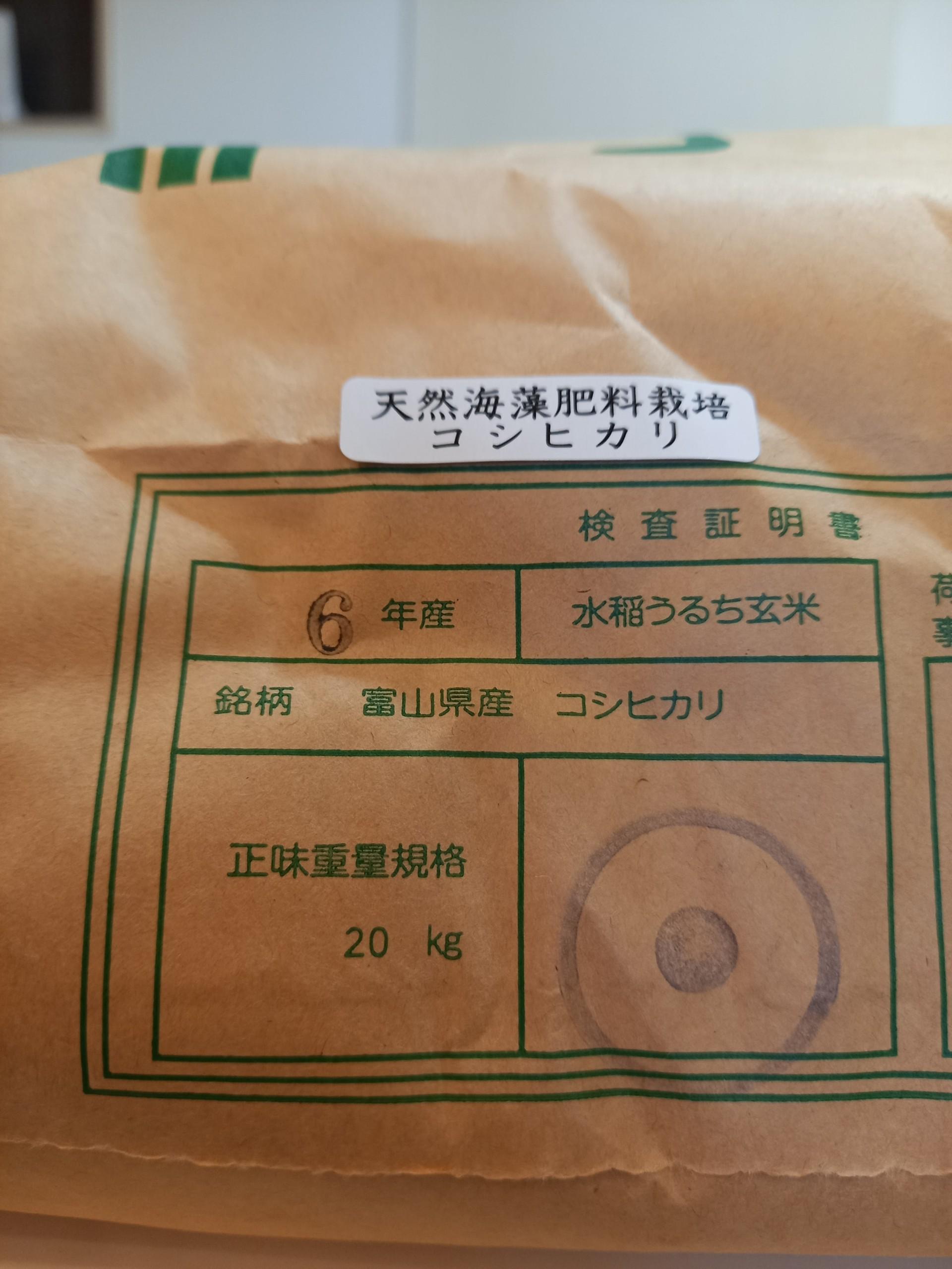 【令和6年産】みどりふぁーむの天然海藻肥料栽培コシヒカリ玄米20kg