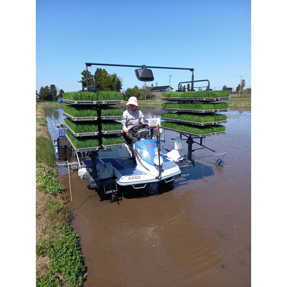 【令和7年産】みどりふぁーむの富富富（ふふふ) 10kg