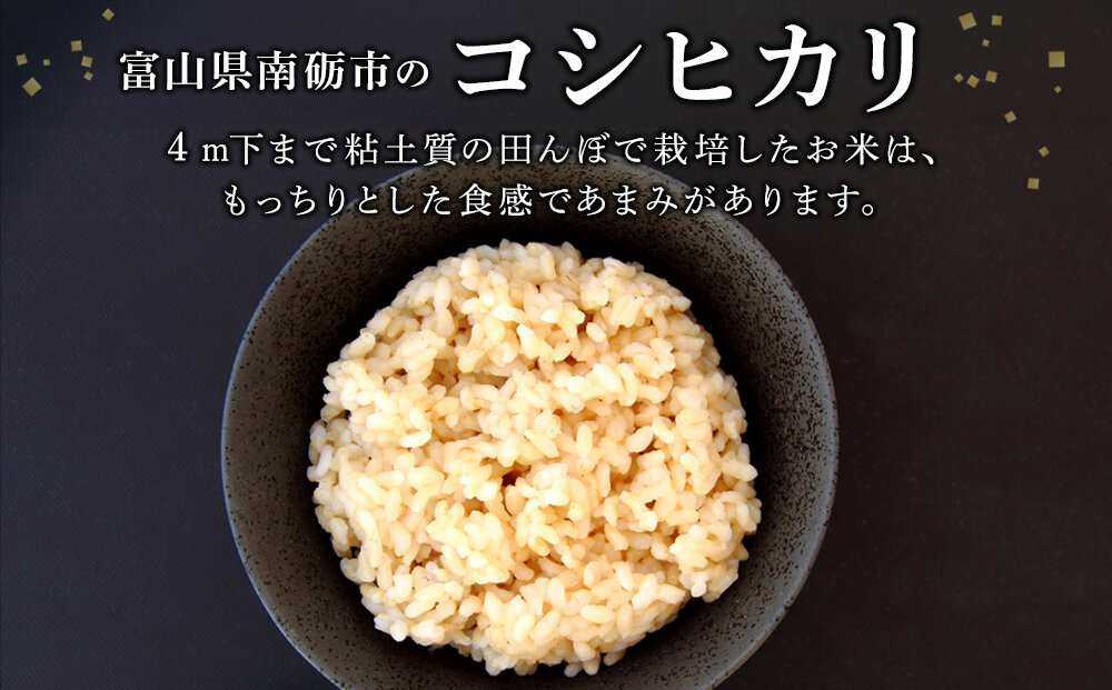 縲蝉サ、蜥7蟷エ逕」縲代∩縺ゥ繧翫オ縺√シ繧縺ョ繧ウ繧キ繝偵き繝ェ 邇邀ウ 20kg