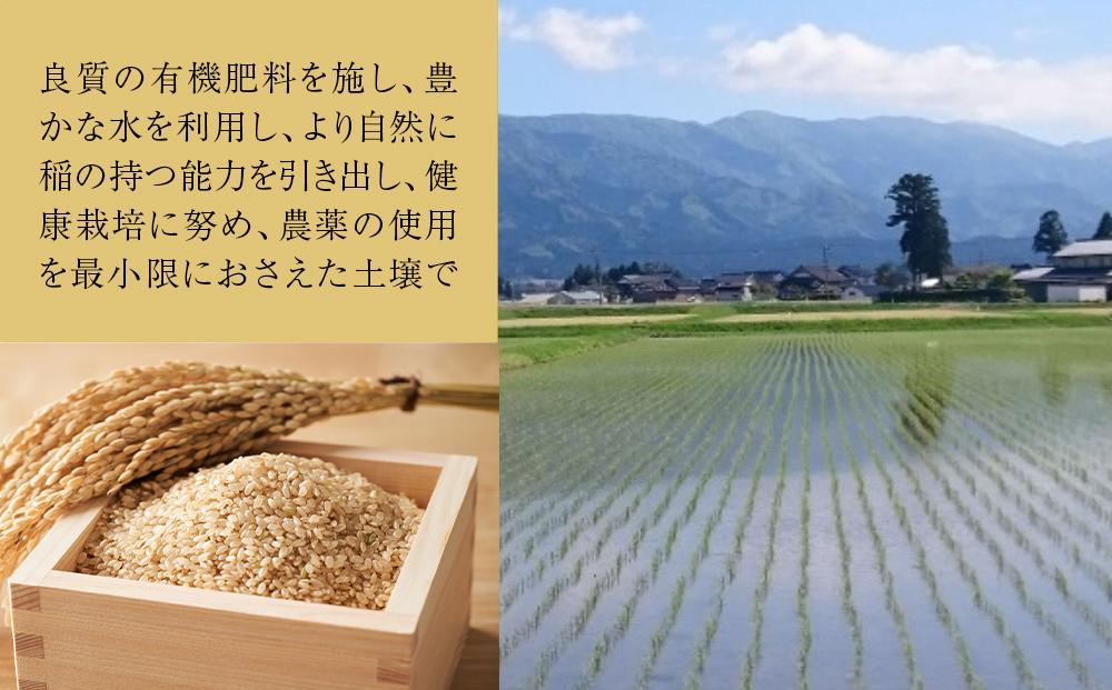 【令和6年産】富山県産こしひかり　育（はぐくみ）玄米３０kg《南砺の逸品》