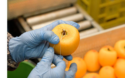 å¯å±±ãããœæ¿ 4L 6åå
¥ã ãåç ºã®éžåã