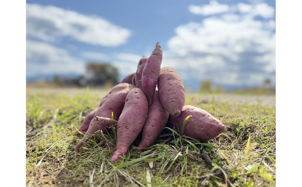 螳臥エ崎葛縲5kg縲蟇悟アア逵