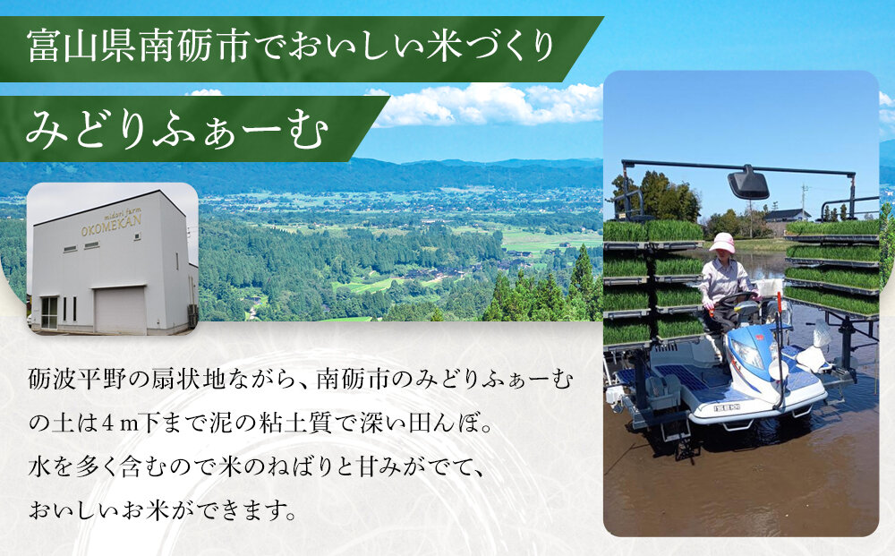 縲蝉サ、蜥7蟷エ逕」縲代∩縺ゥ繧翫オ縺√シ繧縺ョ繧ウ繧キ繝偵き繝ェ 邇邀ウ 20kg