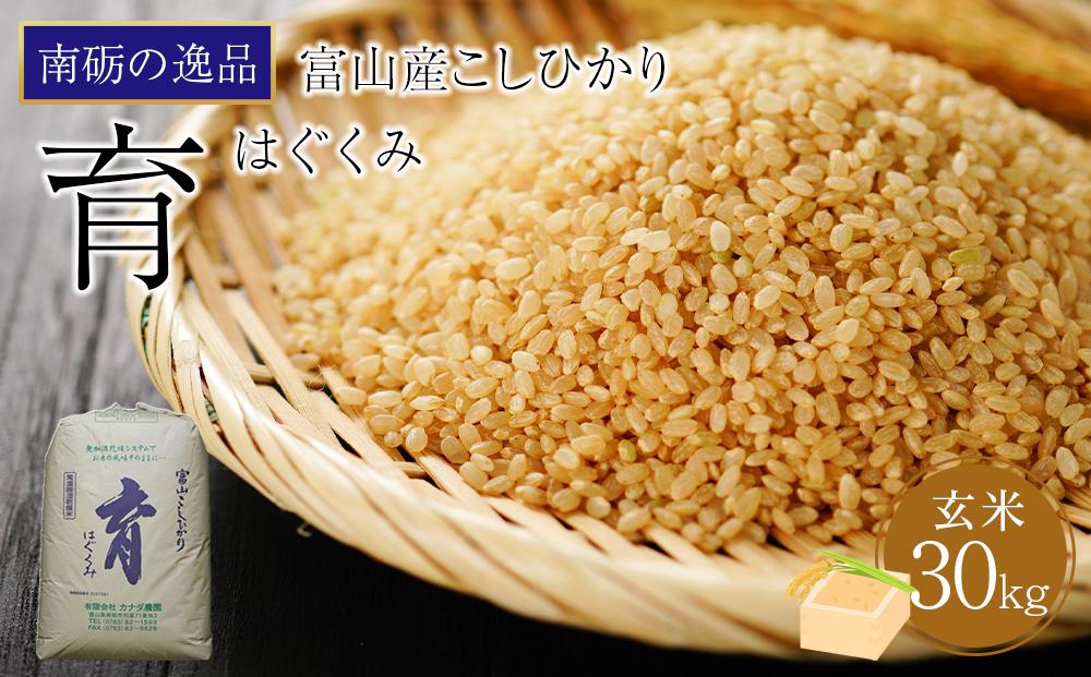 【令和6年産】富山県産こしひかり　育（はぐくみ）玄米３０kg《南砺の逸品》