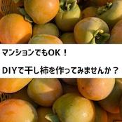 【入手困難！】干し柿・吊るし柿用渋柿「三社柿（さんじゃがき）」約2kg