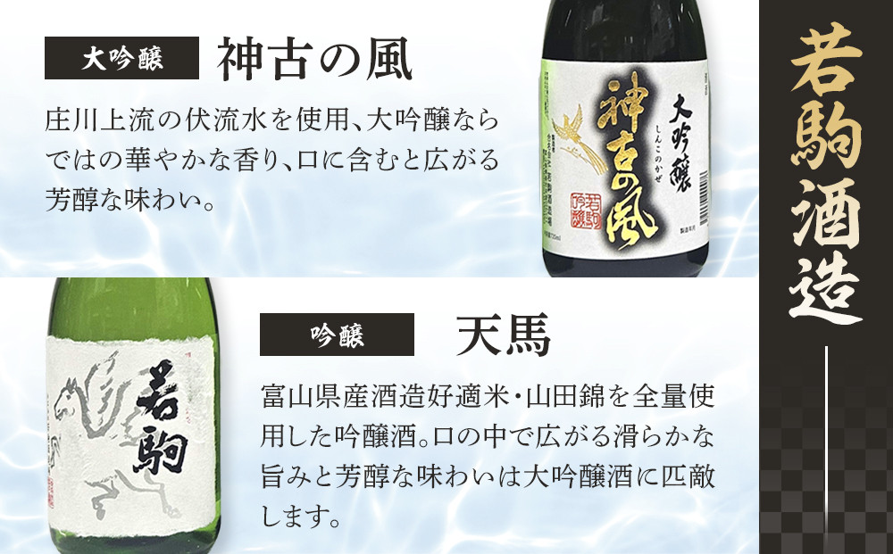 南砺市 地元酒蔵3社の日本酒厳選6本セット