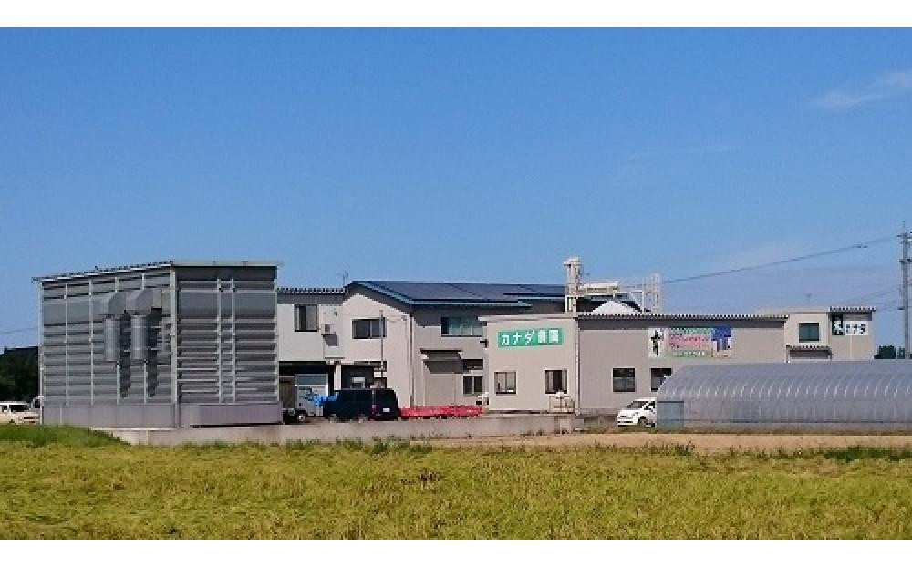 ã什å7幎ç£ãå®æäŸ¿ã»éæïŒå å¯å±±çç£ããã²ãã è²ïŒã¯ããã¿ïŒçç±³ïŒïŒkgãåç ºã®éžåã