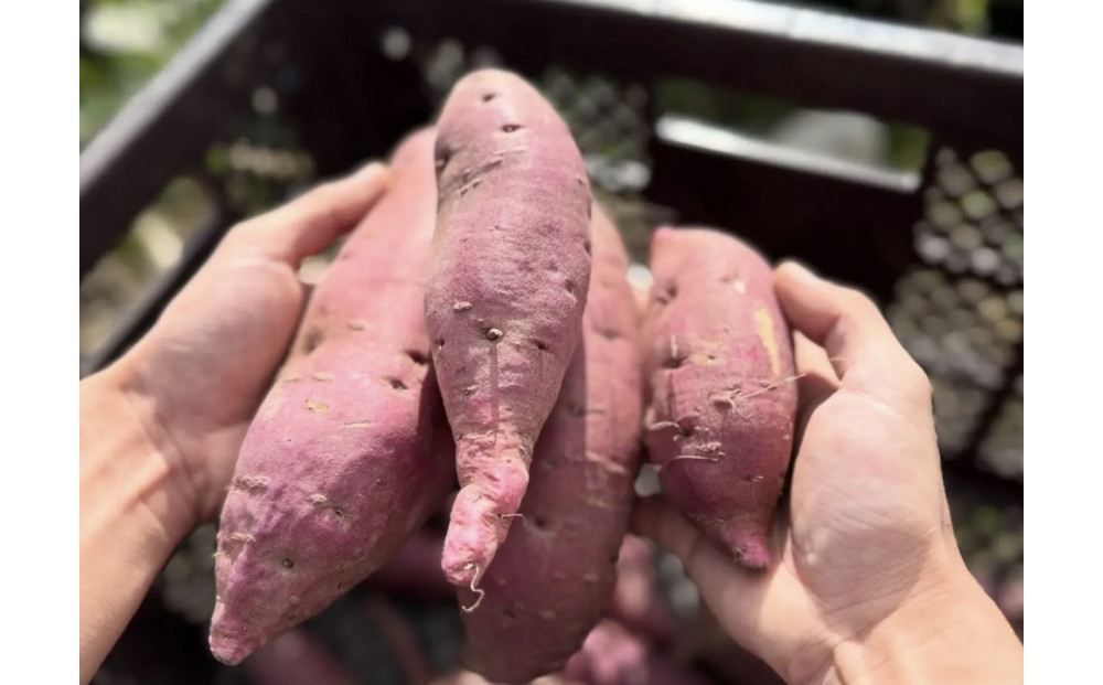 螳臥エ崎葛縲5kg縲蟇悟アア逵