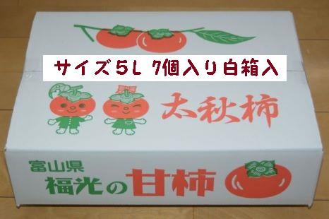 甘柿　太秋柿5L×7個入（2.53kg以上） 白箱入り【2024年10月20日以降発送】