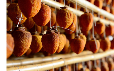 å¯å±±ãããœæ¿ 4L 6åå
¥ã ãåç ºã®éžåã