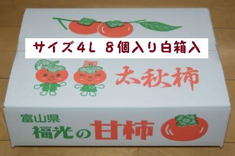 甘柿　太秋柿4L×8個入（2.45kg以上） 白箱入り【2024年10月20日以降発送】