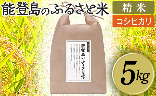 能登島のふるさと米 コシヒカリ5kg 精米 14日以内に発送※9月以降発送分については令和8年産をお送りします。
