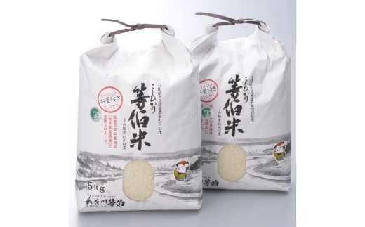 令和7年産 等伯米こしひかり10kg(5kg×2袋) ｜ 世界農業遺産に認定された『能登の里山里海』で育まれたお米 石川県 七尾市 能登 ※2026年6月〜発送