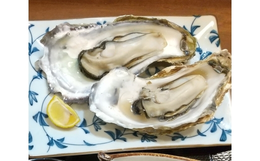 【9畳和室】能登の味覚プラン（朝夕2食付）ペア宿泊券◇｜宿泊 旅館 ペット 食事付き 牡蠣 小型犬 大型犬