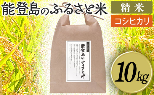 能登島のふるさと米 コシヒカリ10kg 精米 14日以内に発送※9月以降発送分については令和8年産をお送りします。