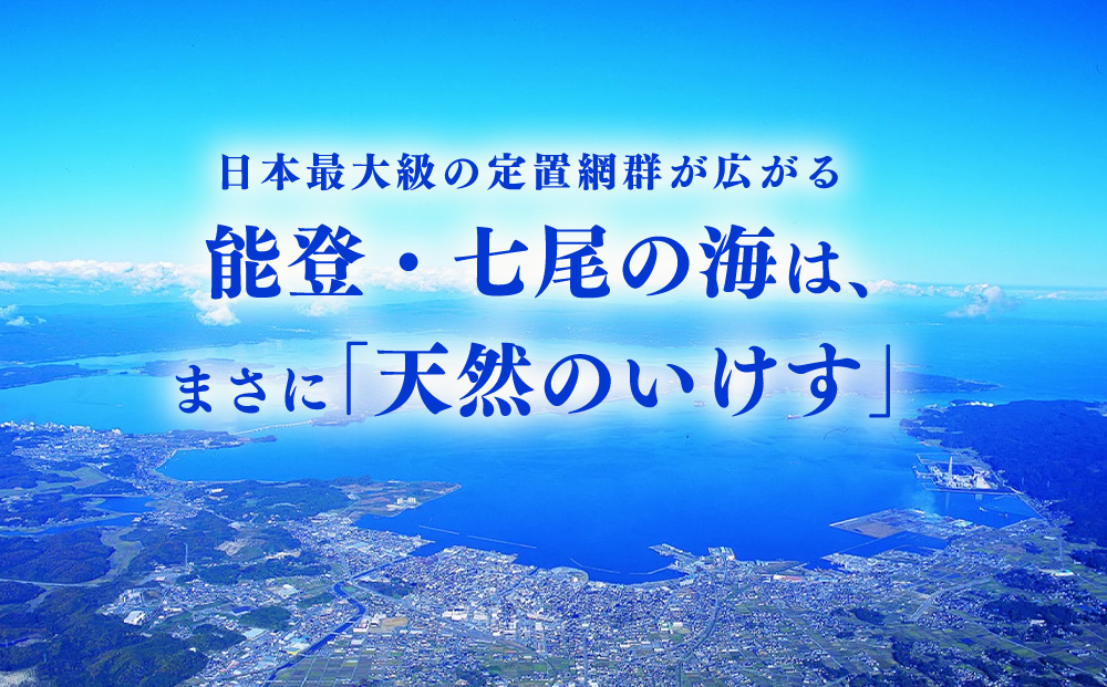 【発送時期が選べる】レンジで簡単 塩こうじ 焼き魚セット｜魚介類 魚貝類 海鮮 シーフード 水産加工 鰤 ぶり 河豚 ふぐ 鯖 さば 鮭 さけ サーモン しゃけ 詰め合わせ セット 夕飯 ご飯 簡単調理 簡単ご飯 石川県 七尾市 能登