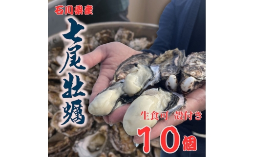 七尾牡蠣10個入り ※北海道・沖縄・離島への配送不可  ※2026年7月〜発送