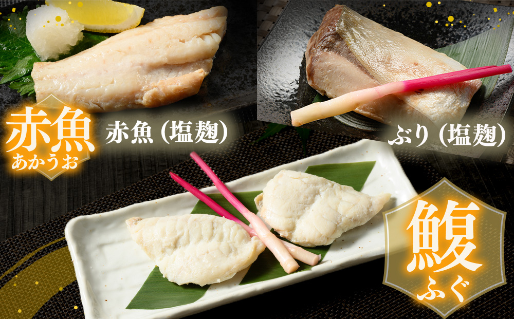 【発送時期が選べる】レンジで簡単 塩こうじ 焼き魚セット｜魚介類 魚貝類 海鮮 シーフード 水産加工 鰤 ぶり 河豚 ふぐ 鯖 さば 鮭 さけ サーモン しゃけ 詰め合わせ セット 夕飯 ご飯 簡単調理 簡単ご飯 石川県 七尾市 能登