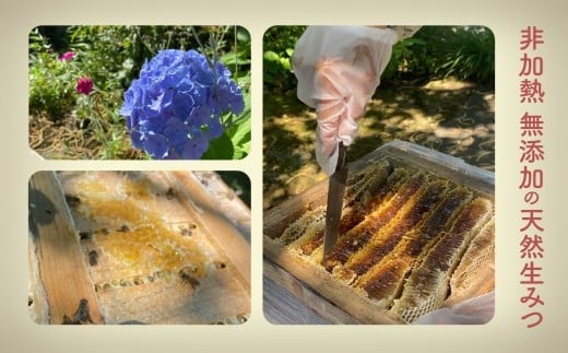 純粋日本はちみつ 白山ひめみつ 280g×2個 国産蜂蜜｜石川県 小松市 白山ひめみつ園