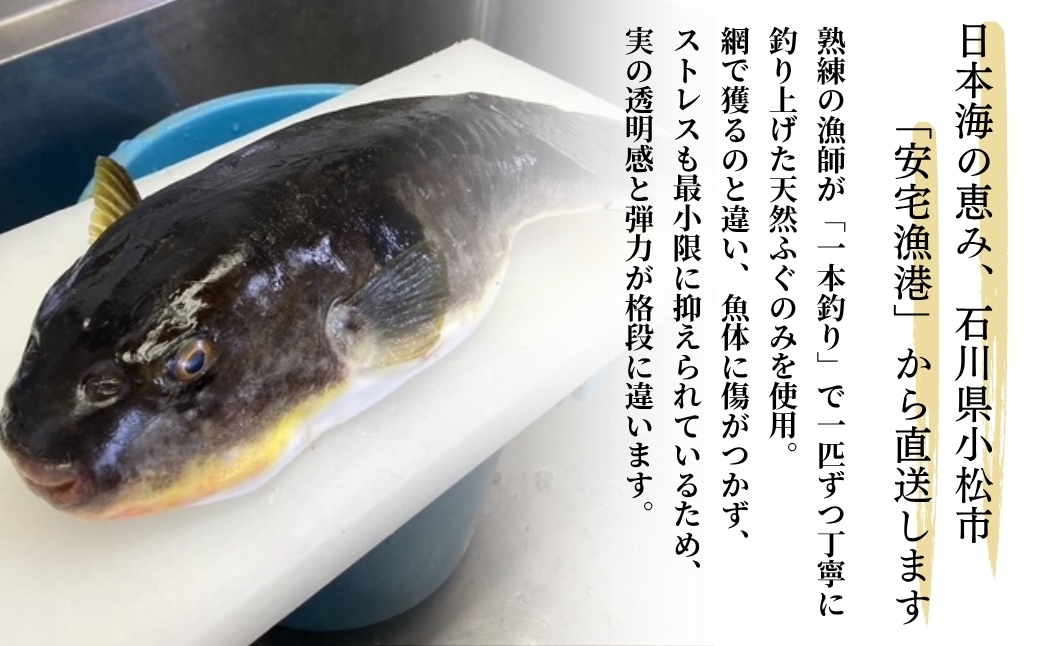 縺オ縺舌ョ縺溘◆縺 2繝代ャ繧ッ (邏200gテ2譛ャ) 繝輔げ 豬キ魄ョ 辷カ縺ョ譌・ 豈阪ョ譌・ 繧ョ繝輔ヨ 繝励Ξ繧シ繝ウ繝医千浹蟾晉恁貍∵・ュ蜊泌酔邨蜷亥ー乗收謾ッ謇縲