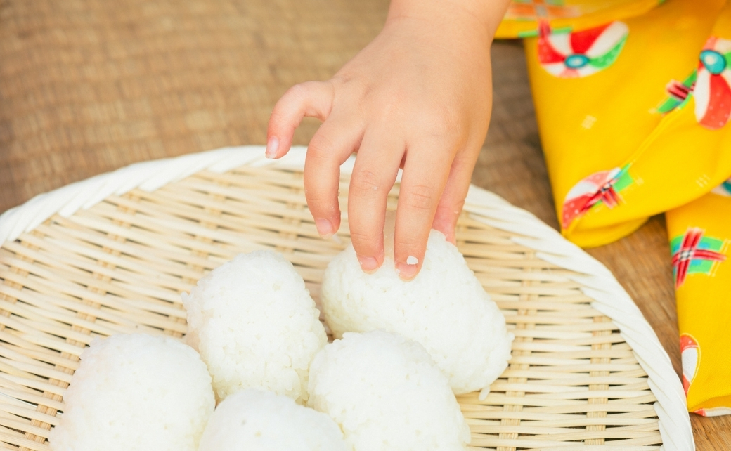 縲仙郁。御コ育エ縲台サ、蜥8蟷エ逕」 繧ウ繧キ繝偵き繝ェ 邊セ邀ウ 10kg 縺顔アウ 逋ス邀ウス懃浹蟾晉恁 蟆乗收蟶 蜈逕ー霎イ逕」