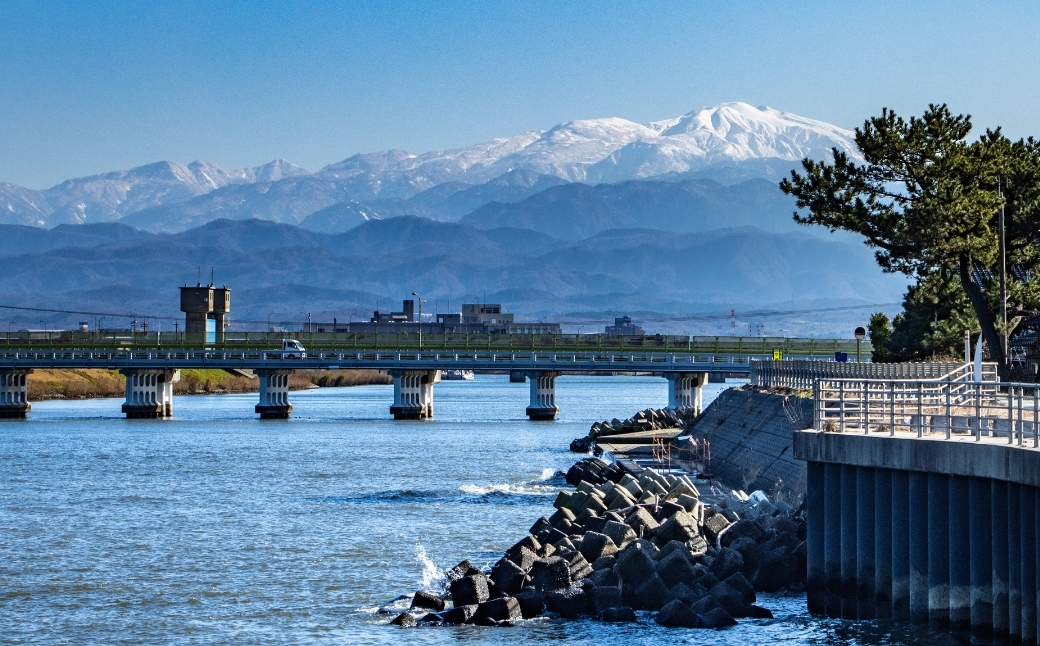 縺オ縺舌ョ縺溘◆縺 2繝代ャ繧ッ (邏200gテ2譛ャ) 繝輔げ 豬キ魄ョ 辷カ縺ョ譌・ 豈阪ョ譌・ 繧ョ繝輔ヨ 繝励Ξ繧シ繝ウ繝医千浹蟾晉恁貍∵・ュ蜊泌酔邨蜷亥ー乗收謾ッ謇縲