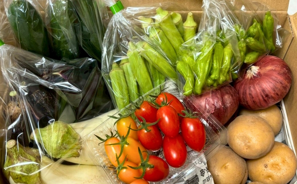【定期便6ヶ月】季節の野菜詰め合わせ Bセット 野菜食べ比べ 旬の野菜 野菜セット 定期便 | 石川県 小松市【Kacchan.Farm】