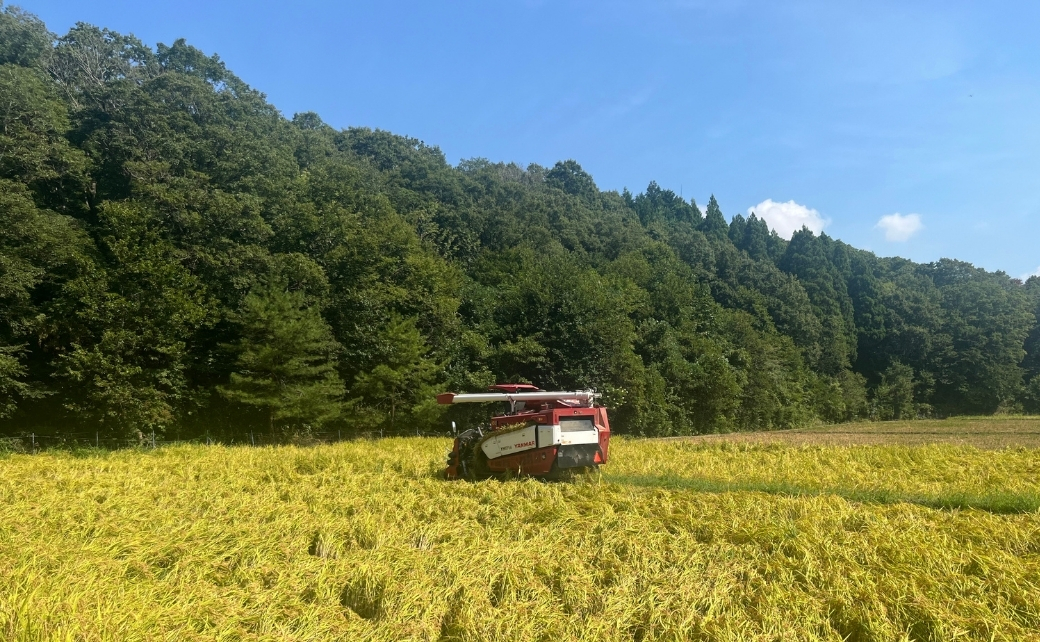 【先行予約】【定期便】令和8年産 コシヒカリ 精米5kg×6ヶ月（毎月） お米 白米 こしひかり｜石川県 小松市 【元田農産】
