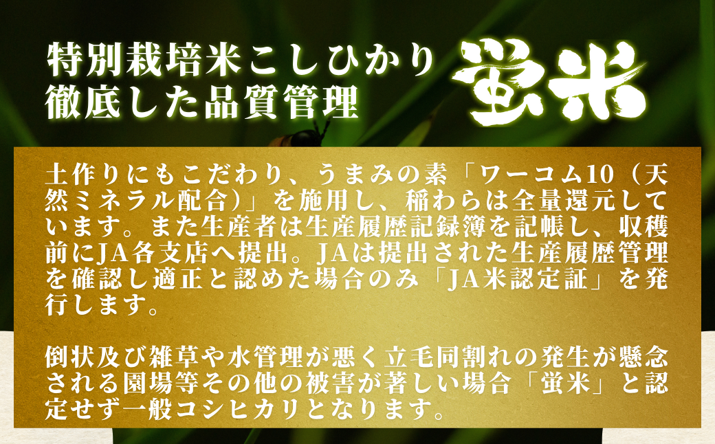 縲手寫邀ウ縲 繝代ャ繧ッ縺斐ッ繧180gテ24蛟句・繧 迚ケ蛻・譬ス蝓ケ邀ウ縺薙@縺イ縺九j 繝代ャ繧ッ縺秘」ッ 繝代ャ繧ッ繝ゥ繧、繧ケ 繧ウ繧キ繝偵き繝ェ 24鬟 遏ウ蟾晉恁 蟆乗收蟶ら肇 縺顔アウ 髦イ轣ス逕ィ