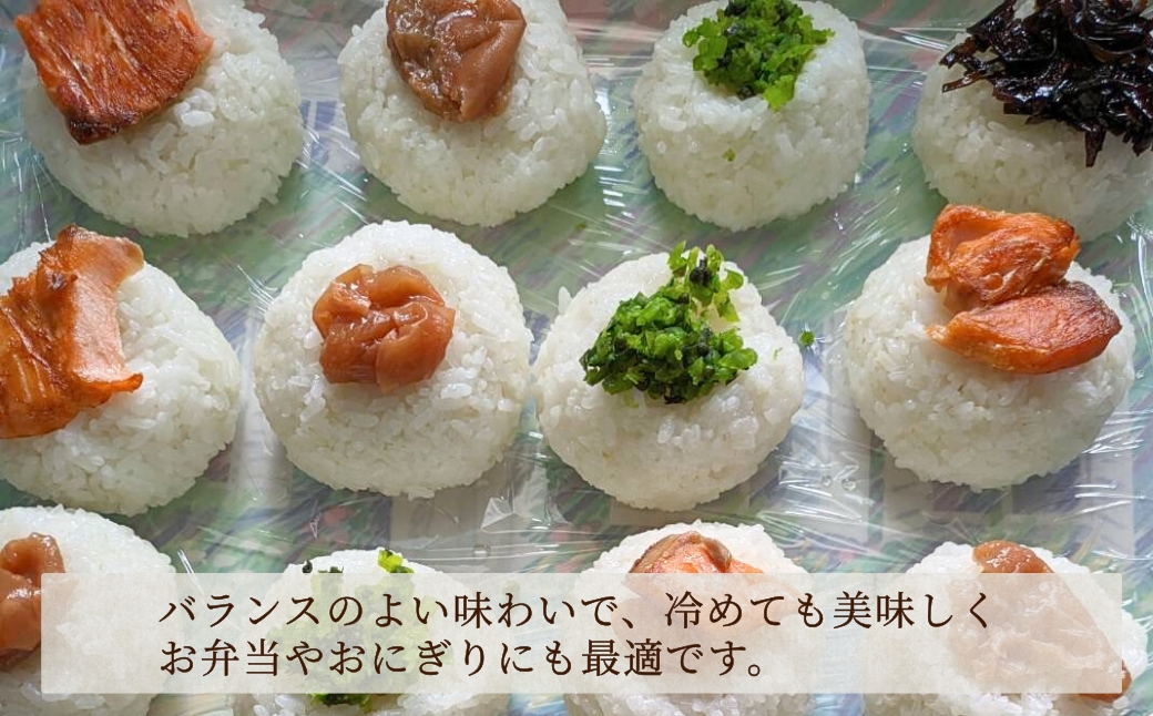 【先行予約】令和8年産 定期便 石川県産コシヒカリ 精米 計10kg(5kg×2袋)×6回便 お米 白米 こしひかり｜石川県 小松市 【坂下農産】