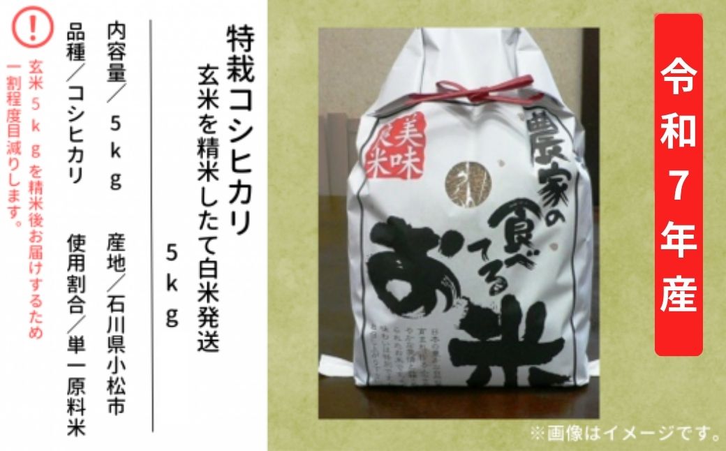 迚ケ譬ス繧ウ繧キ繝偵き繝ェ 邊セ邀ウ 逋ス邀ウ シ育私邀ウ2kg繧堤イセ邀ウ縺励◆縺ヲ逋ス邀ウ逋コ騾シ 莉、蜥7蟷エ逕」 縺薙@縺イ縺九j 7000蜀莉・荳 莠コ豌 | 遏ウ蟾晉恁 蟆乗收蟶ゅ舌ョ繧繧芽セイ逕」縲