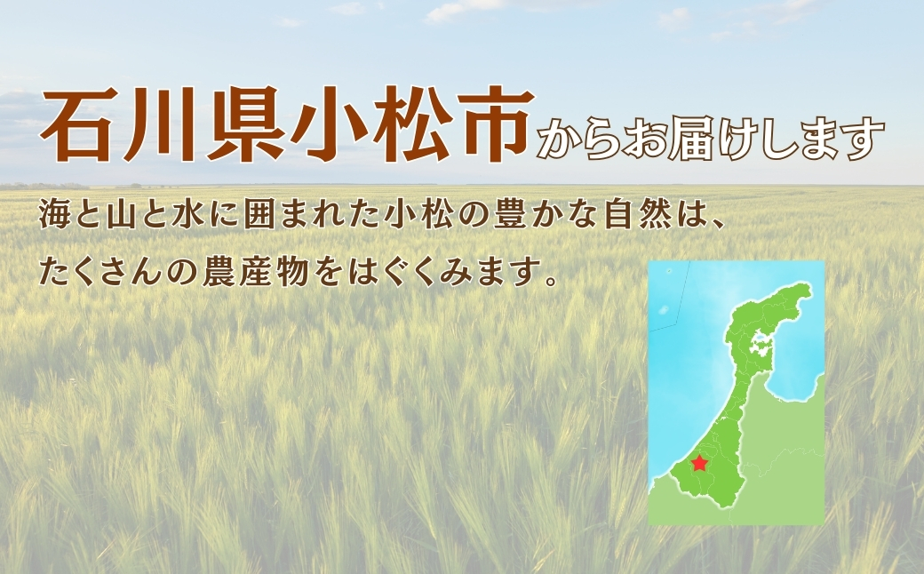 縺薙∪縺、繧縺手幻 5陲 テ (10gテ36陲) 縺願幻 鮗ヲ闌カ 繝弱Φ繧ォ繝輔ぉ繧、繝ウ | 遏ウ蟾晉恁 蟆乗收蟶 JA縺ゅ$繧