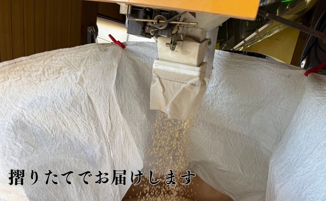 【先行予約】【定期便】令和8年産 コシヒカリ 精米10kg×3ヶ月（毎月）お米 白米 こしひかり｜石川県 小松市 【元田農産】