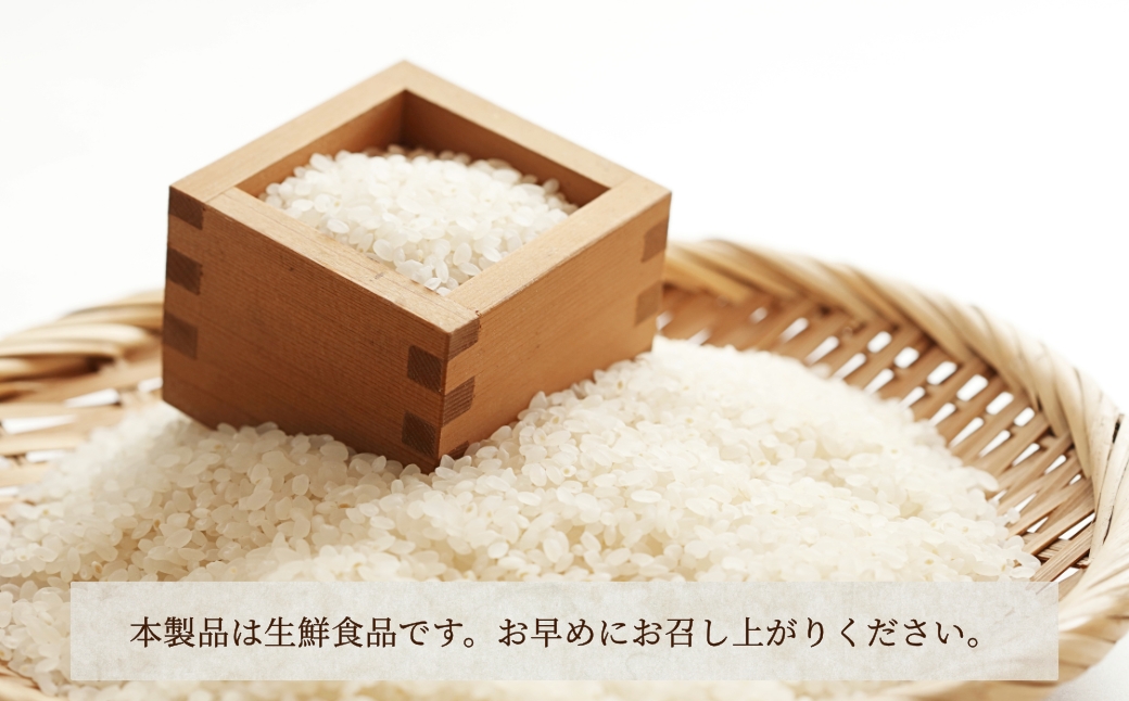 【先行予約】令和8年産 石川県産コシヒカリ 精米 20kg(5kg×4袋) お米 白米 こしひかり｜石川県 小松市 【坂下農産】