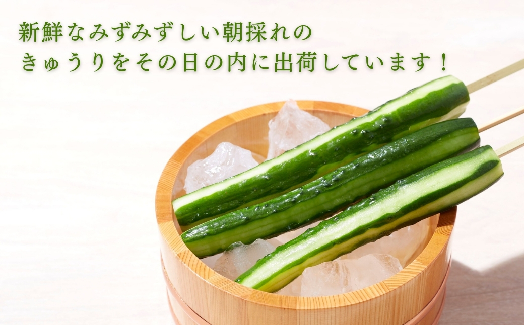 縲仙郁。御コ育エ縲 縺阪e縺繧 2.5kg (25譛ャ莉・荳) 縺阪e縺繧 驥手除 | 遏ウ蟾晉恁 蟆乗收蟶 JA縺ゅ$繧