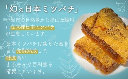 純粋日本はちみつ 白山ひめみつ 280g×2個 国産蜂蜜｜石川県 小松市 白山ひめみつ園