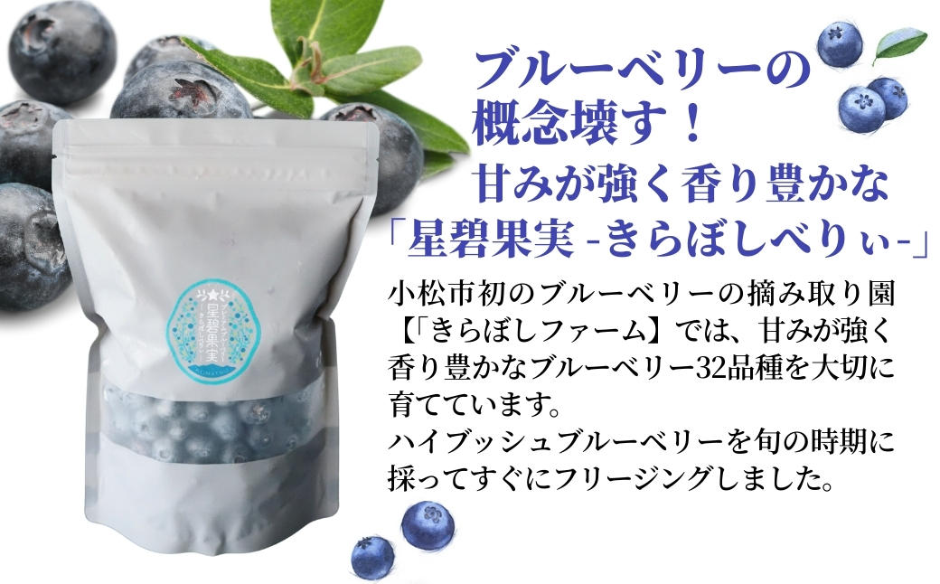 蜀キ蜃阪ヶ繝ォ繝シ繝吶Μ繝シ 500gテ2陲 蝗ス逕」繝輔Ν繝シ繝ス懃浹蟾晉恁 蟆乗收蟶 縺阪i縺シ縺励ヵ繧。繝シ繝