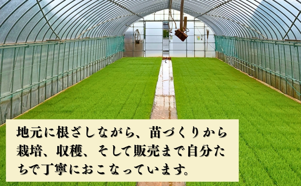 【先行予約】【定期便】令和8年産 コシヒカリ 精米5kg×6ヶ月（毎月） お米 白米 こしひかり｜石川県 小松市 【元田農産】