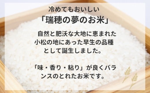 【先行予約】【定期便】令和8年産 小松産 ゆめみづほ 精米 5kg×6ヶ月（毎月） 米 お米｜石川県 小松市 ＪＡ小松市