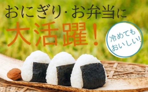 ゆめみづほ 精米 5kg 令和7年産 石川県産 お米 米｜石川県 小松市 ＪＡ小松市（経済課）