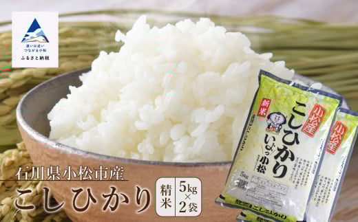 コシヒカリ 10kg こしひかり 精米 (5kg×2袋) 令和7年度産 お米 白米 新米