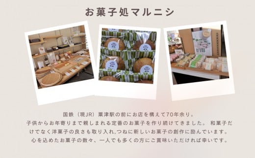 洋菓子 焼菓子 おかし ダックワーズ ~木場潟湖 ~ 10個入 