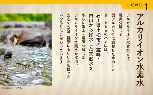 クランベリーベーグル10個セット 【Bikke】 パン 冷凍 石川県 小松市