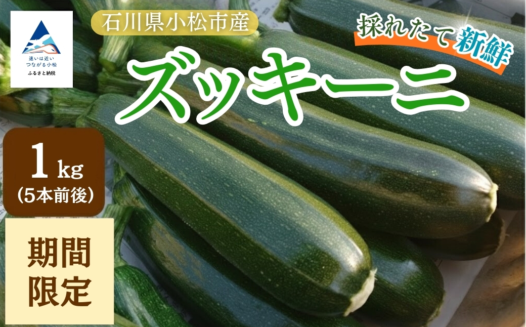 ズッキーニ 約1kg (5本前後) ずっきーに 小松市産 | 石川県 小松市 JAあぐり